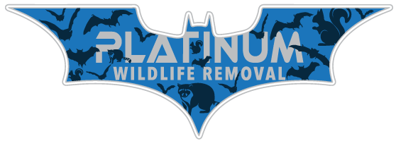 Eco Pest Solutions LLC